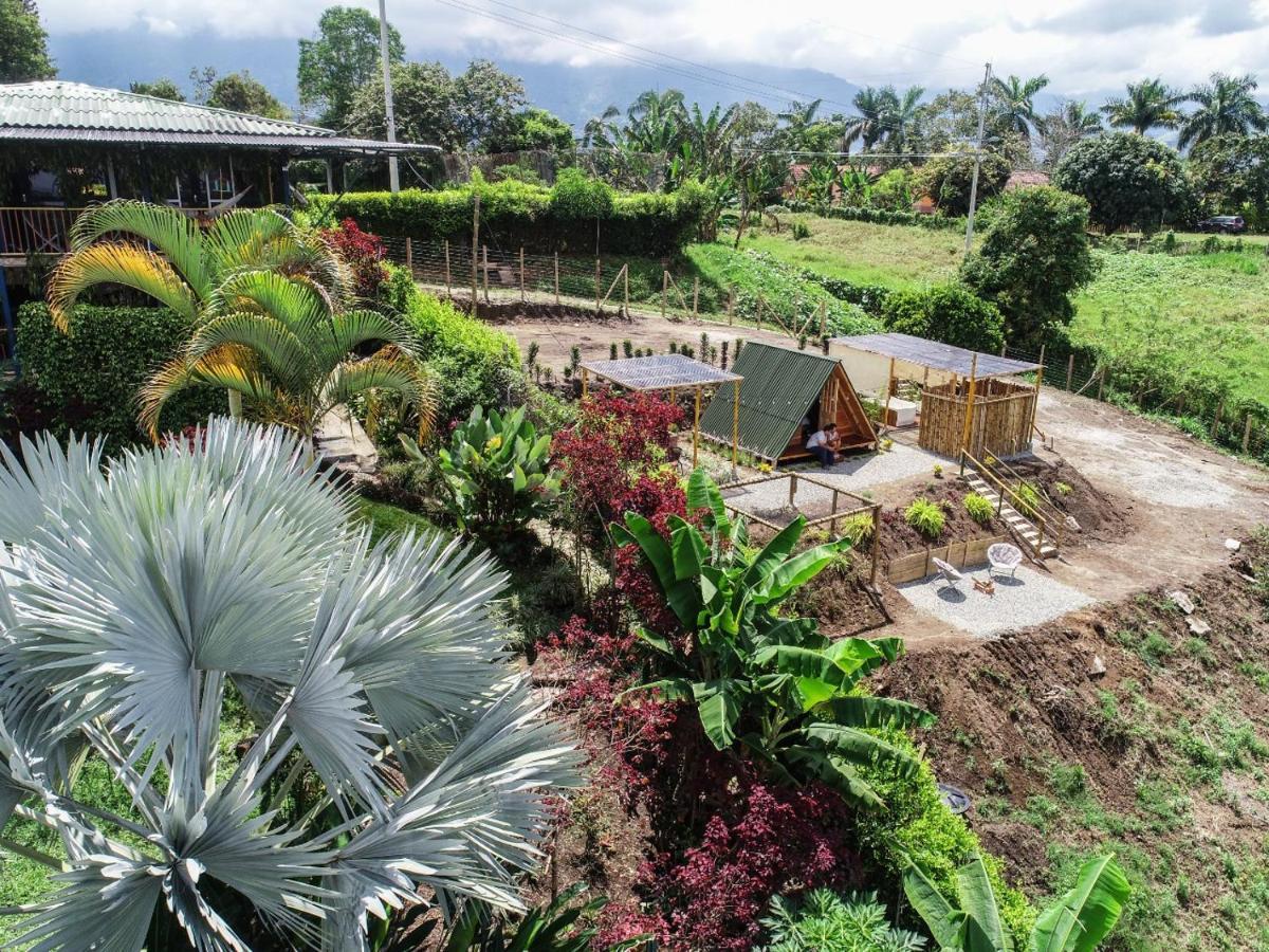 Villa Alejandra Del Quindio Calarcá Εξωτερικό φωτογραφία